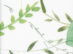 001-Garden 420615 1