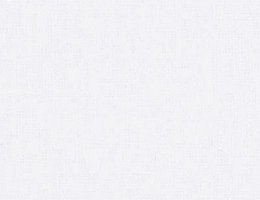 FRONT- Projektorduk  300 cm