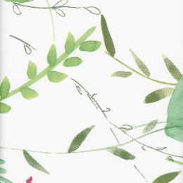 D41 - Garden (TL)